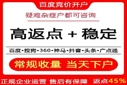 百度推广优化策略：成功案例解析